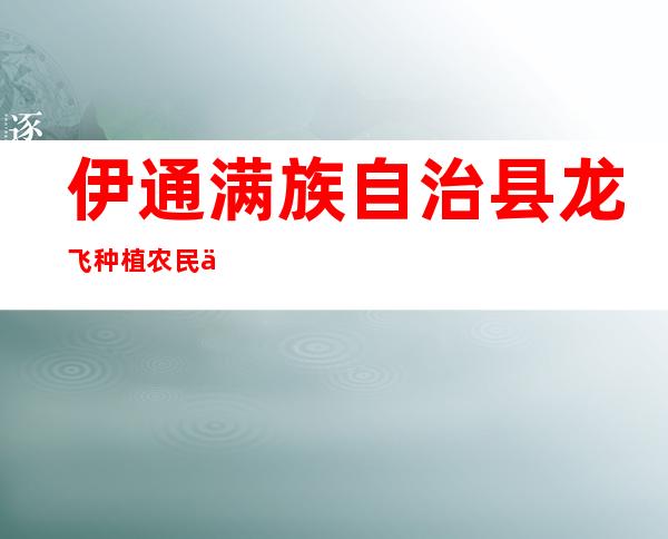 伊通满族自治县龙飞种植农民专业合作社